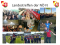 Unbenannt4