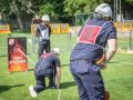 IMG 7301