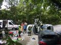 IMG 7180