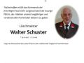 walter schuster